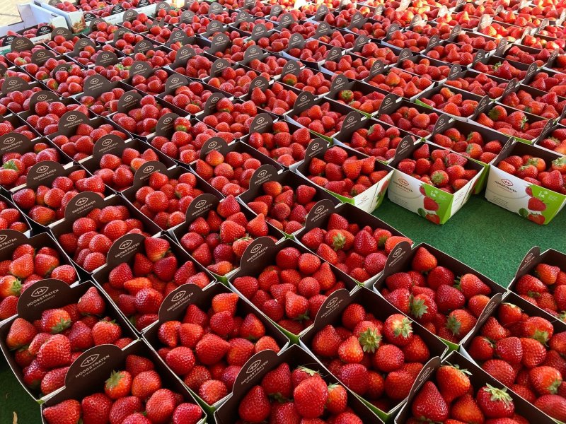 Strawberry firmness